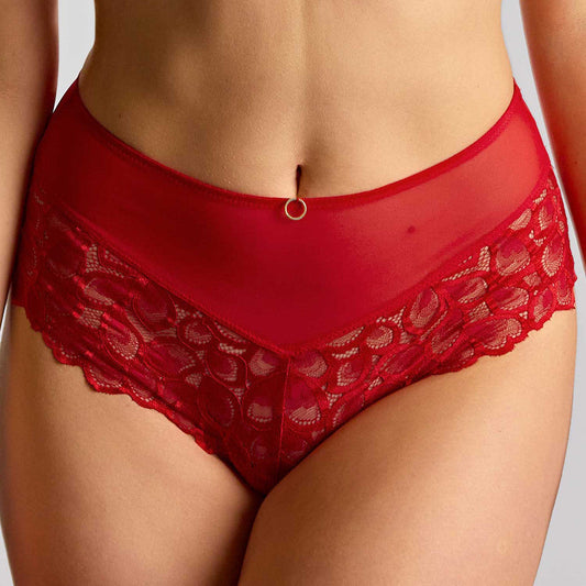 Red lace underwear on a plain background