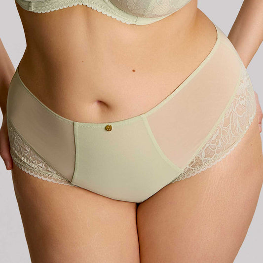Dream Deep Brief