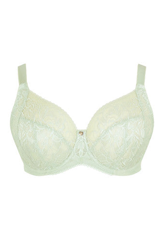 Dream Full Cup Bra