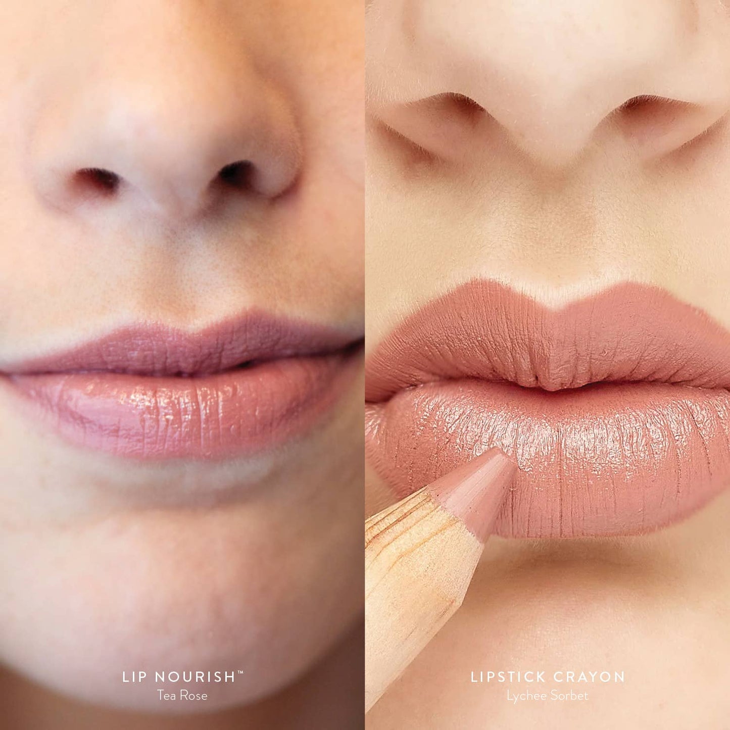 Recipe of a Lipstick - Nude Rose Duo