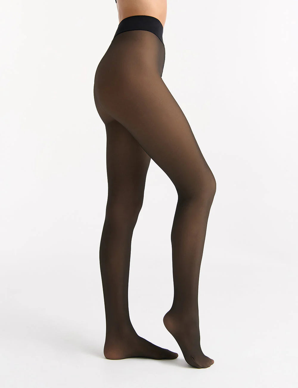 Sheer Fleece Lined Opaque Tights