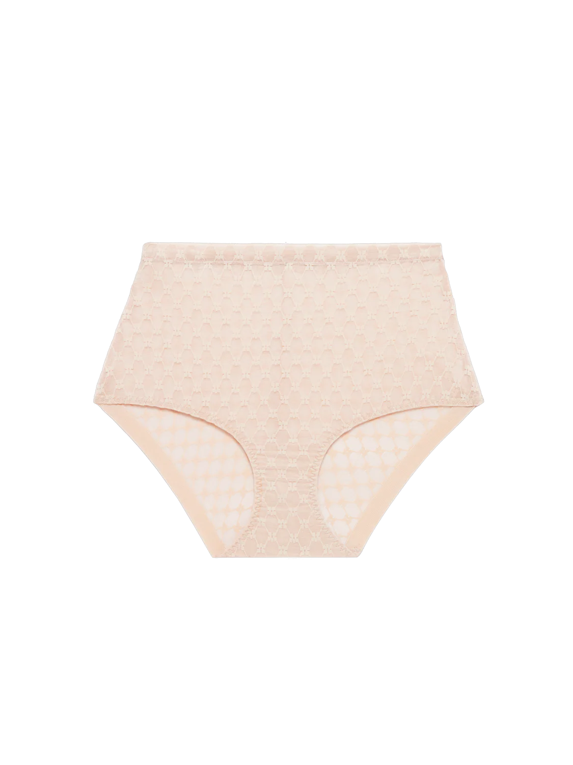 Plume Control Full Brief - Peau Rose
