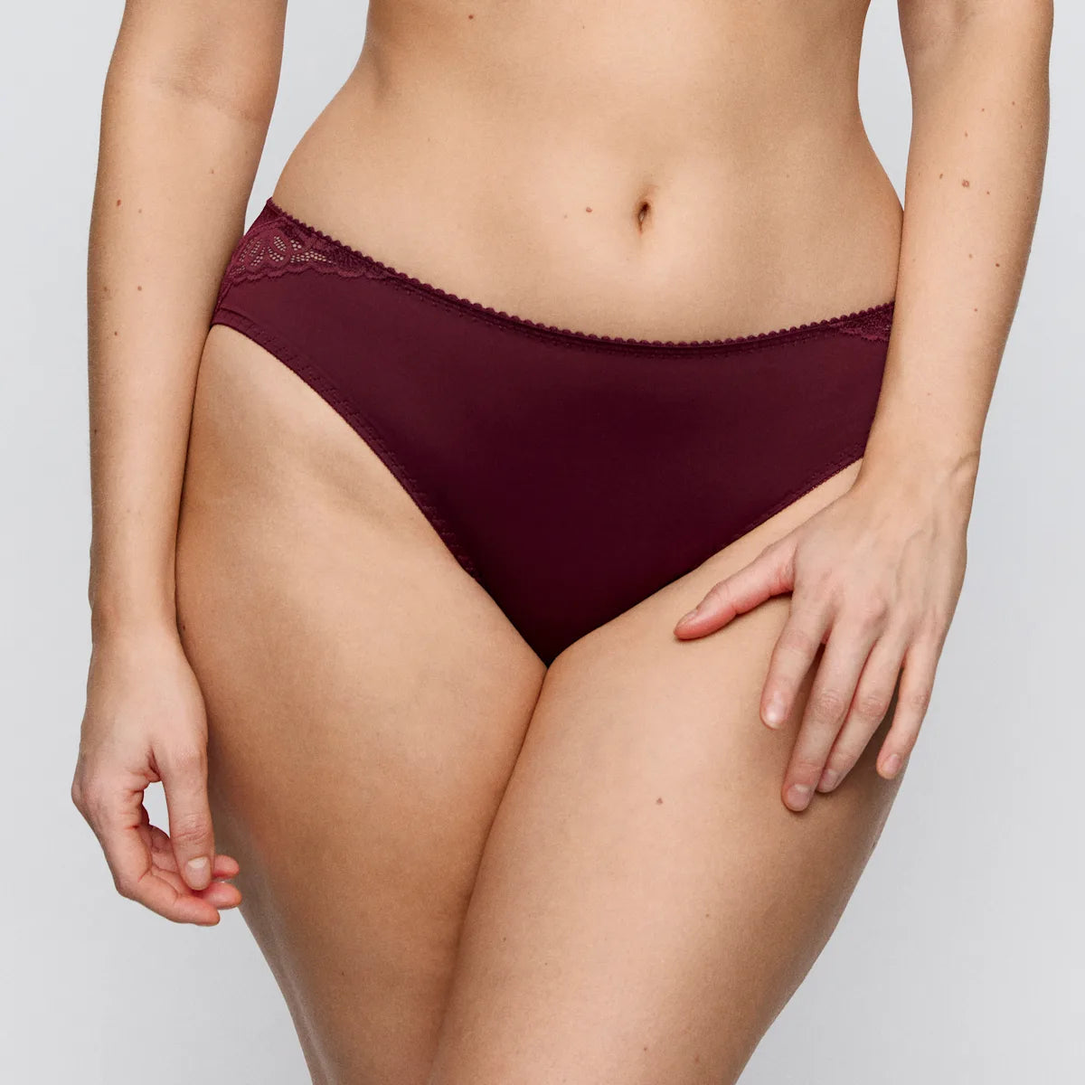 Salerno Brief