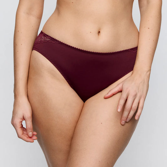 Salerno Brief