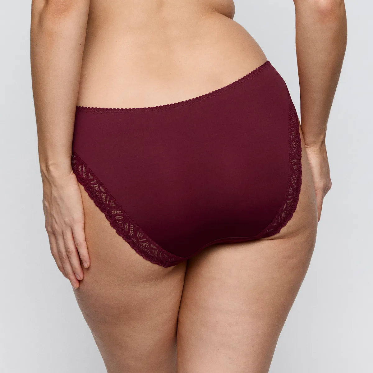 Salerno Brief